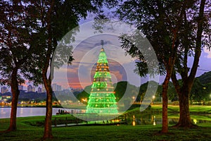 Christmas lights and Christmas trees. photo