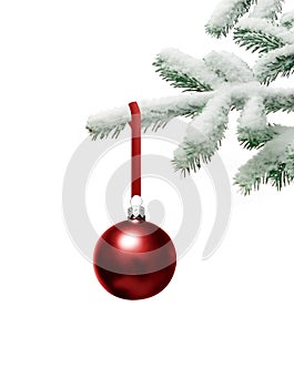 Christmas tree with bauble photo
