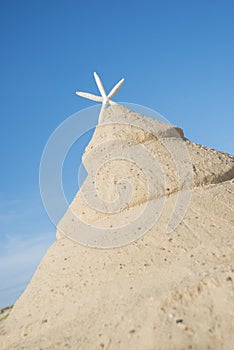 Christmas tree on beach