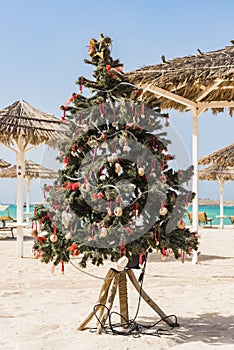 Christmas tree on the beach Cape Verde