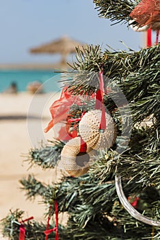 Christmas tree on the beach Cape Verde