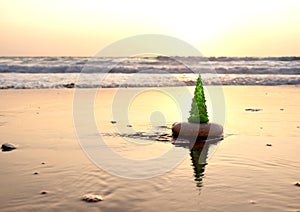 Christmas tree on the beach. Christmas tree on the sea shore.New Year and Christmas celebration on the beach