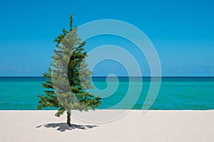 Christmas Tree on the beach. Merry Christmas. Happy New Year. Winter Holidays. Miami Florida vacation.