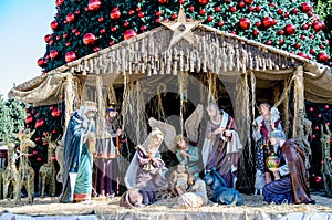 Christmas tree in Bethlehem, Palestine