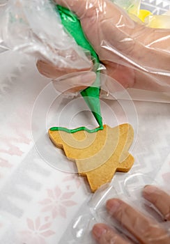 Christmas Tree Biscuit