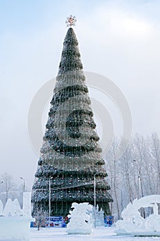 Christmas tree with the blazon of Krasnoyarsk on its top at minus 40 centigrade.