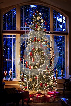 Christmas Tree Blue Evening Light through Window