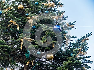 Christmas Tree with Blue and Gold Ornaments