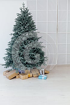 Christmas tree blue pine with gifts interior new year