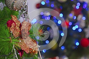 Christmas Tree with blurring lights bokeh