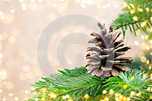 Christmas tree the bokeh background. Christmas greeting card backgrounds