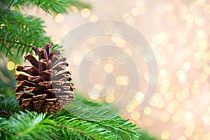 Christmas tree the bokeh background. Christmas greeting card backgrounds