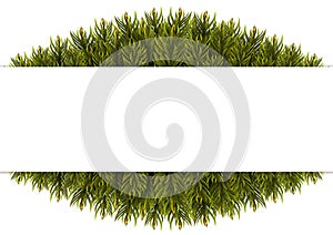 Christmas Tree Borders.