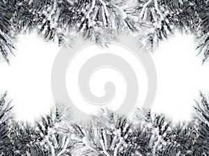 Christmas Tree Borders