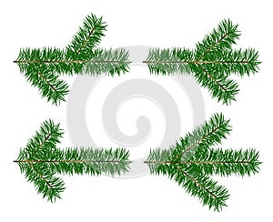 Christmas tree branch