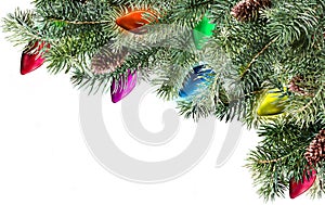 Christmas tree branch img