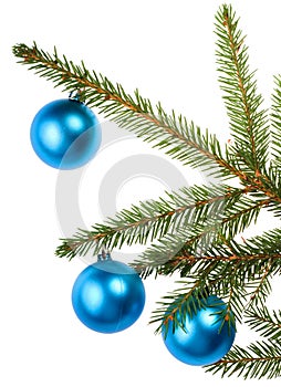 Christmas tree branch with blue decoration