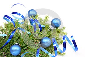 Christmas tree branch and blue ribbon