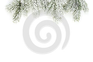 Christmas tree branch border. Winter evergreen fir twig isolated on white