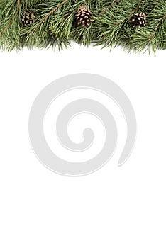 Christmas tree branch and bumps on a white background with copyspace