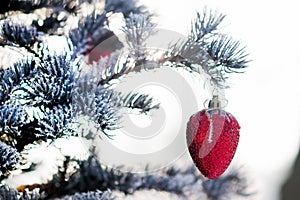 Christmas tree branch with Christmas ball in shape of strawberry