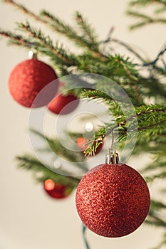 Christmas tree branch decorated with a toy ball