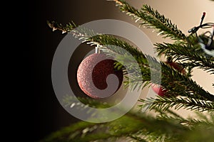 Christmas tree branch decorated with a toy ball