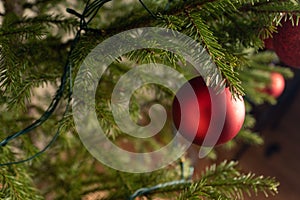 Christmas tree branch decorated with a toy ball