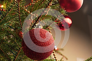 Christmas tree branch decorated with a toy ball