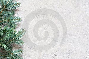 Christmas tree branch on a gray background, festive mood, gift season. Winter holidays concept.