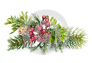 Christmas tree branch with holly decor