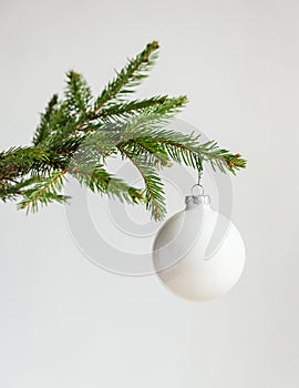 Christmas tree branch isolated