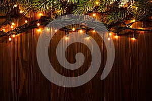 Christmas tree branch and lights