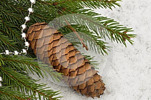 Christmas tree branch with pine cone