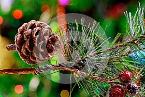 Christmas tree branch with pine cones and red berry