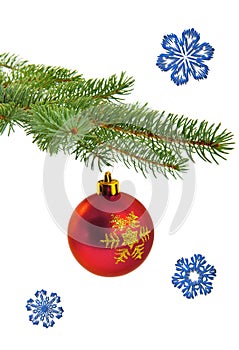 Christmas tree branch with red ball