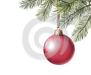 Christmas tree branch with red ball. Holiday card with glass ball on fir branches isolated on white background