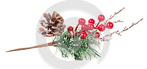 Christmas tree branch red berries and cones decoration