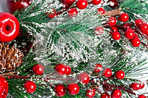 Christmas tree branch with red berries macro