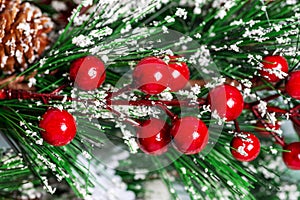 Christmas tree branch with red berries macro