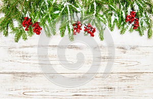 Christmas tree branch with red berries. Winter decoration