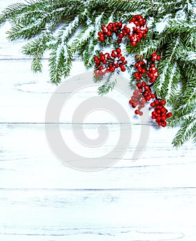 Christmas tree branch with red berries. Winter holidays decorati