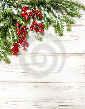 Christmas tree branch with red berries. Winter holidays decorati