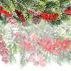 Christmas tree branch with red berrries