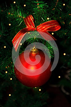 Christmas tree branch with red ornament