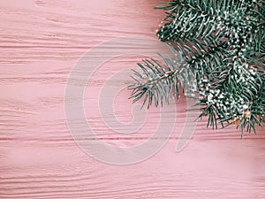 Christmas tree branch seasonal snow border winter on a pink wooden background frame