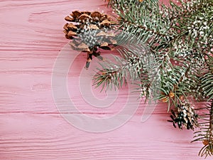 Christmas tree branch seasonal snow winter on a pink wooden background frame