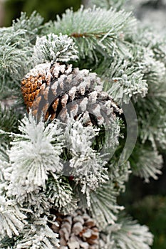 Christmas tree branch with snow with a fir cone. Festive background backdrop New Year and Christmas. Eco-friendly artificial