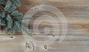 Christmas tree branch on warm rustic wooden planks for the holiday concepts