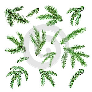 Christmas tree branch watercolor clipart. Set spruce twig aquarelle for greeting card. Collection New Year fir branches